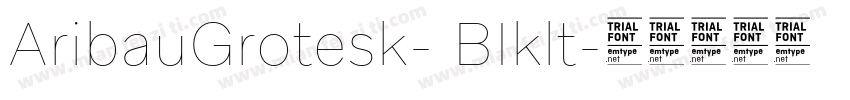 AribauGrotesk- BIklt字体转换
